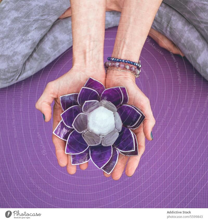 Top Winkel Ansicht der Hände halten ein lila Glas Lotus.  Yoga und Meditation Konzept. Nahaufnahme Ästhetik aquatisch Gleichgewicht schön Schönheit Windstille