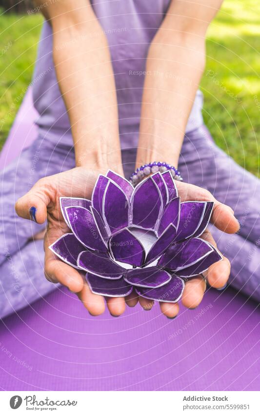 Nahaufnahme der Hände einer Frau, die einen lila Glaslotus anbietet. Yoga und Meditation Konzept. aquatisch Hinterhof Gleichgewicht schön Schönheit Windstille