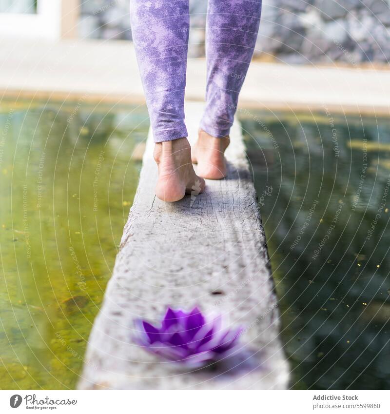 Aufnahme eines violetten Glaslotus, während eine Frau weggeht. aquatisch Gleichgewicht schön Schönheit Windstille Ruhe Konzept Dekoration & Verzierung exotisch