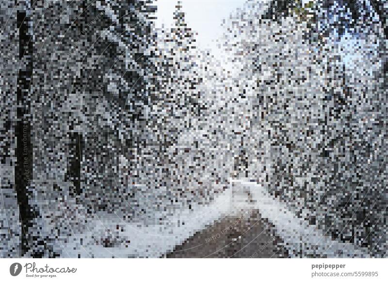 Matrix – Winterlandschaft mit Schnee matrix style Raster Muster Strukturen & Formen Winterstimmung Winterzeit winterlich winterliche Kälte winterliche Ruhe