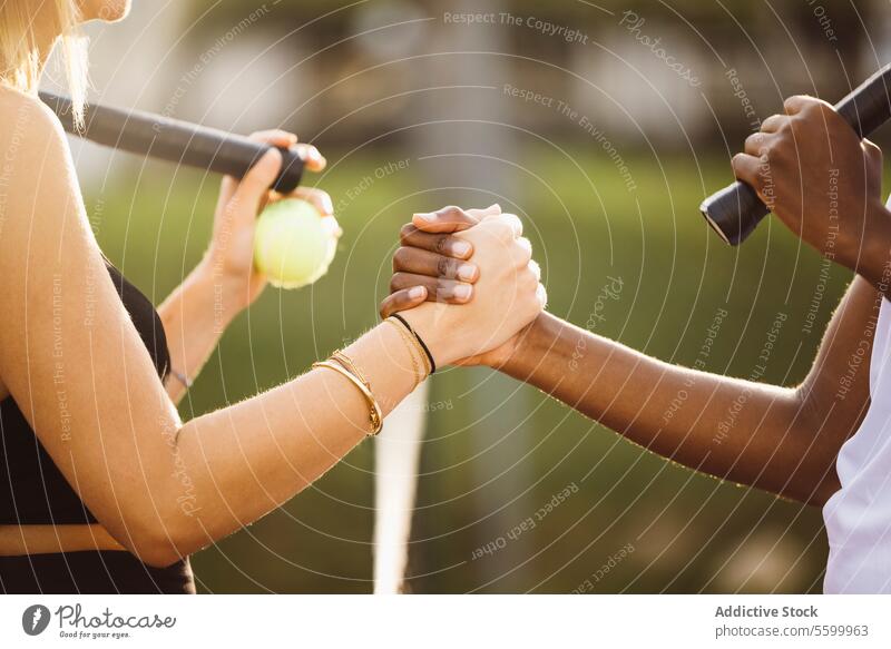 Tennisspieler schütteln sich am Netz die Hände aktiv aktiver Lebensstil Aktivität Amateur Athlet Ball schön schöne Frauen Schönheit schwarz heiter gratulierend