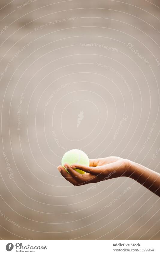 Hand hält einen Tennisball aktiver Lebensstil Aktivität Amateur Athlet Ball schön schöne Frauen heiter Konkurrenz Gericht Genuss Übung trainiert. Spaß Spiel