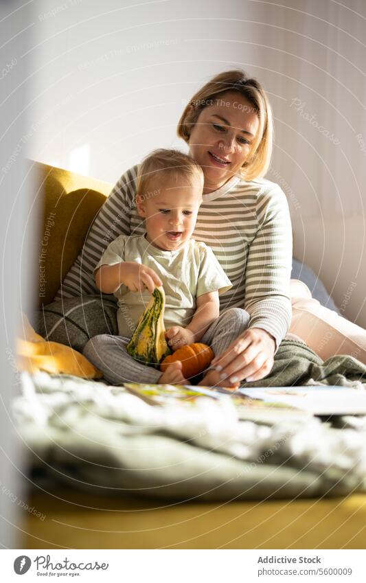 Mutter und Kind verbringen einen Moment mit einem Buch Kleinkind lesen Bilderbuch Bonden Kürbis Kindheit Lernen Bildung Familie qualitätsvolle Zeit