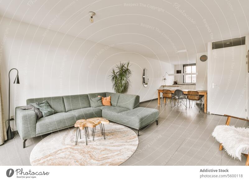 Wohnzimmer mit grauer Couch und Teppichboden groß Sofa Liege Kaffeetisch Lampe Pflanze speisend Stuhl Küche modern Möbel Design Raum heimwärts Appartement Haus