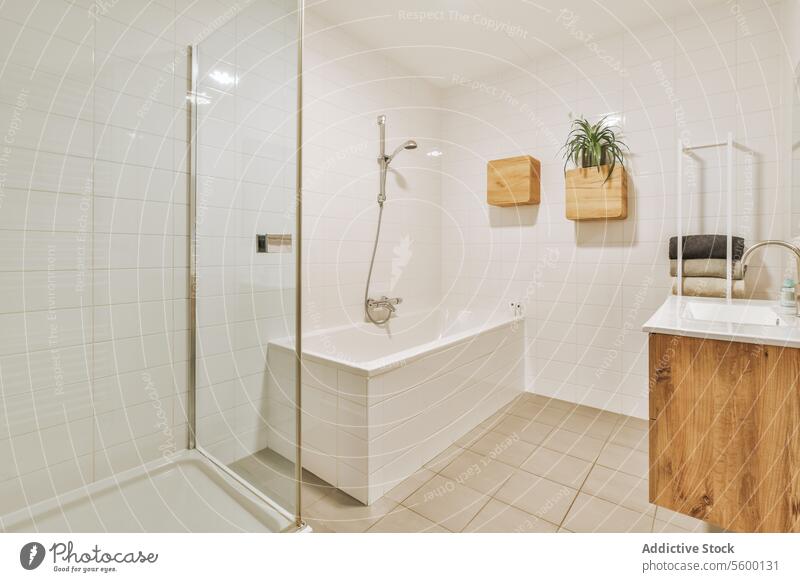 Weißes Badezimmer mit Dusche und Waschbecken Badewanne Sauberkeit ordentlich Zeitgenosse Appartement Kabine Fliesen u. Kacheln Stock Handtuch Ablage Pflanze
