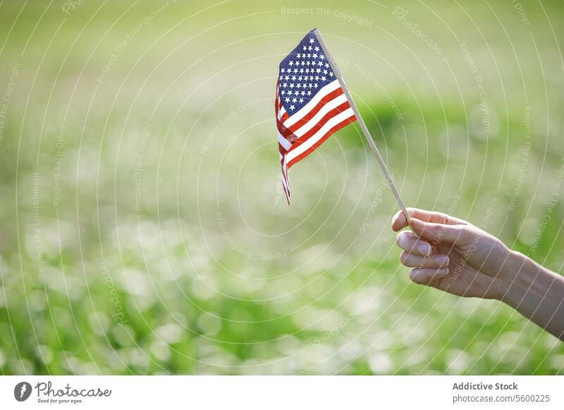 Frau hält US-Flagge USA amerika us-Flagge Symbolismus Hand im Freien Sommer Frühling Grasland Selbstständigkeit Independence Day Feiertag gerade Tradition