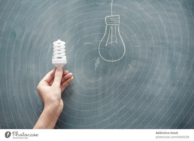 Energieeinsparung Hand Tafel Zeichnung Kreide abbilden Glied Körperteil menschlich Umweltschützer Energiesparlampe Konzept Kraft Lampe Einsparung Umweltschutz