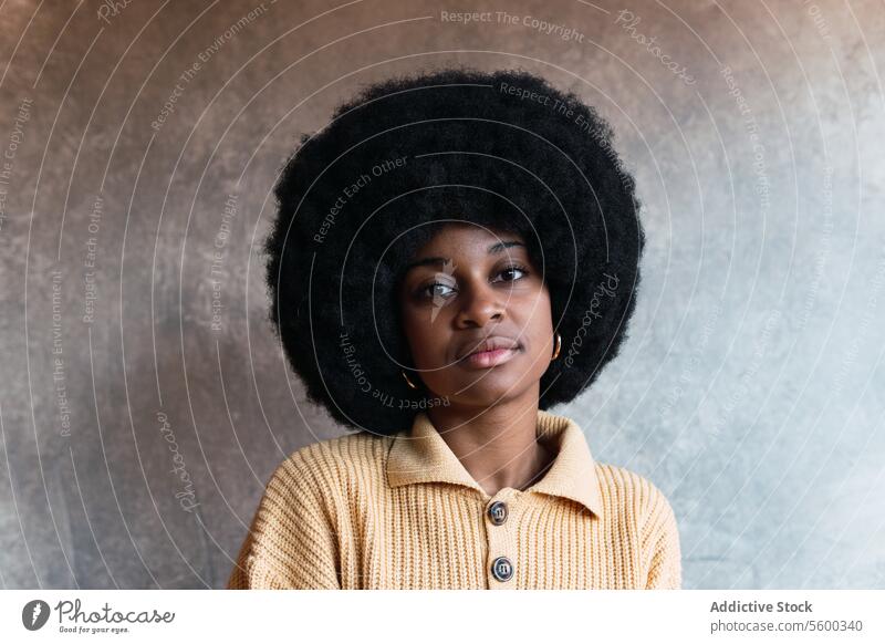 Schwarze Frau mit Afrofrisur Porträt Afro-Look Vorschein Individualität Persönlichkeit braunes Auge krause Haare schwarz Afroamerikaner jung froh Optimist