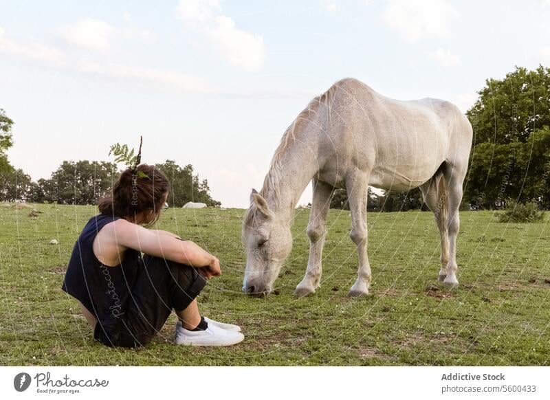 Person, die im Gras sitzt und ein Pferd betrachtet sitzend weiß Weidenutzung Feld Bäume Dämmerung Natur Kontemplation friedlich im Freien pferdeähnlich Tier