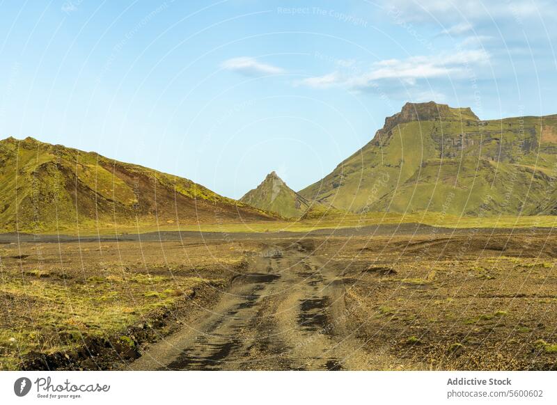 Die zerklüftete Landschaft des isländischen Hochlands Island Highlands vulkanisch Gelände Feldweg ländlich Moos grün Hügel im Freien Natur robust unberührt