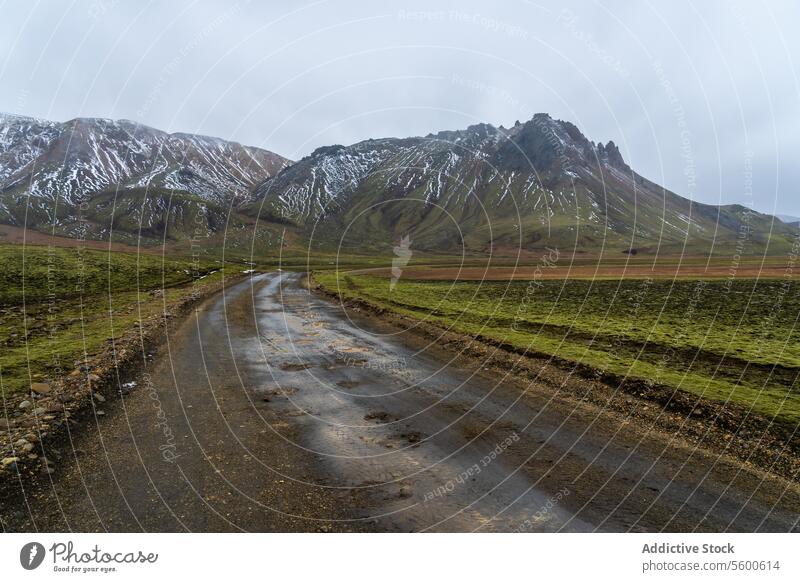 Landschaftlich reizvolles isländisches Hochland mit schneebedeckten Gipfeln Island Highlands Berge u. Gebirge Straße Schnee grün robust malerisch Abenteuer