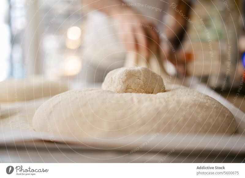 Detailplan eines Brotlaibes Porträt Nahaufnahme vereinzelt Teigwaren Bäckerei Mehl unkenntlich frisch Lebensmittel Weizen Küche Hefe Beruf professionell backen