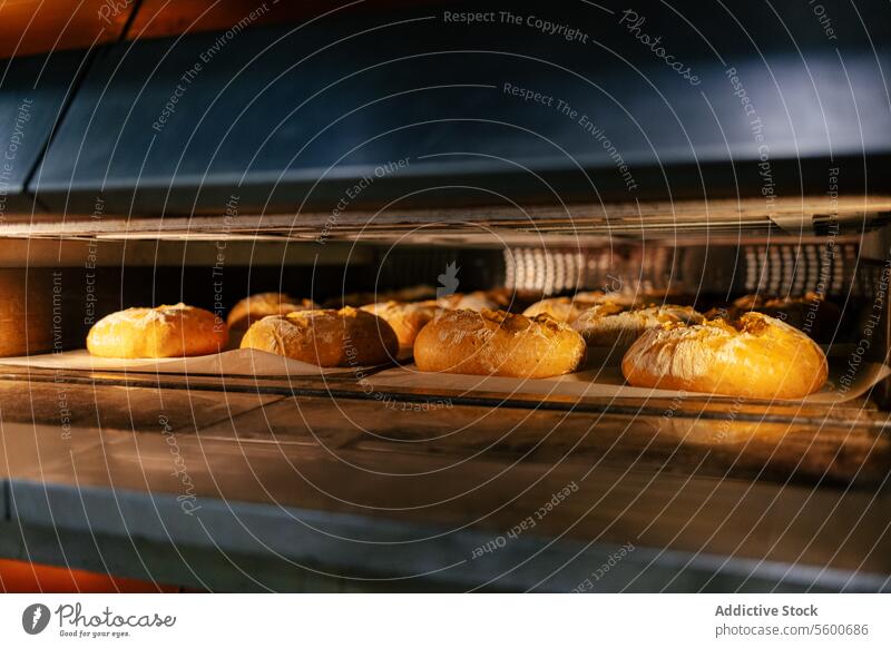 Jede Menge Brote im Ofen Brotlaib Bäckerei Weizen heiß Teigwaren Fabrik Herstellung Inszenierung Lebensmittel frisch backen geschmackvoll Industrie vorbereitend