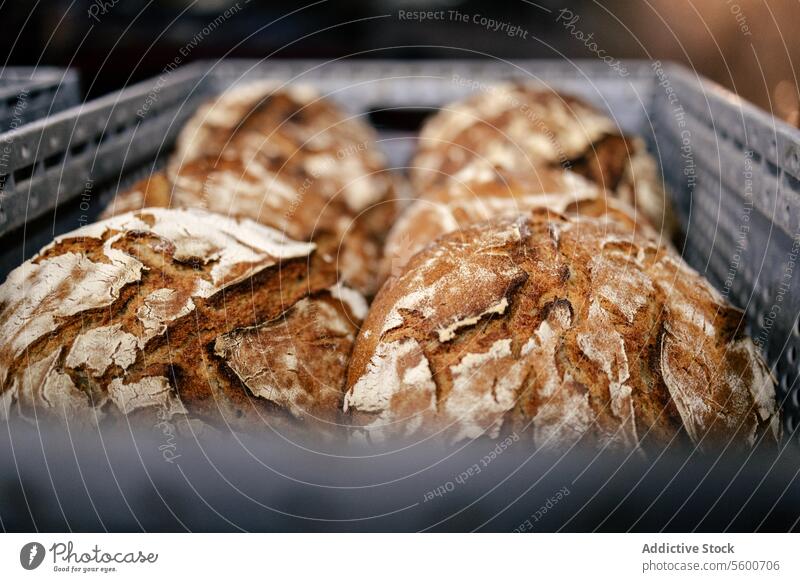 Viel Brot in einem Korb Lebensmittel Bäckerei Hintergrund geschmackvoll traditionell frisch Mahlzeit lecker Weizen weiß braun Körner Kruste Frühstück gebacken
