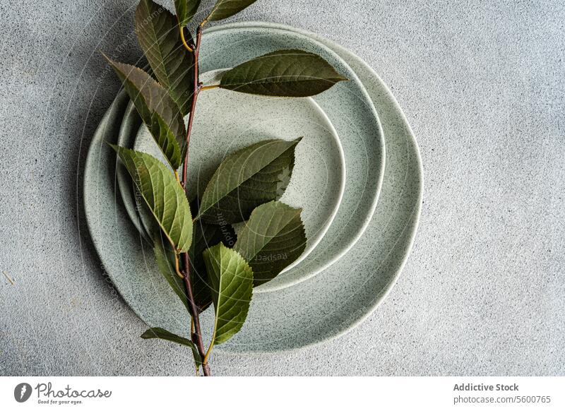 Kirschbaumblätter auf Tellern in einem minimalistisch gedeckten Tisch Kirsche Blatt Ast Keramik Geschirr Laubwerk grün Textur natürlich Dekor botanisch gestylt