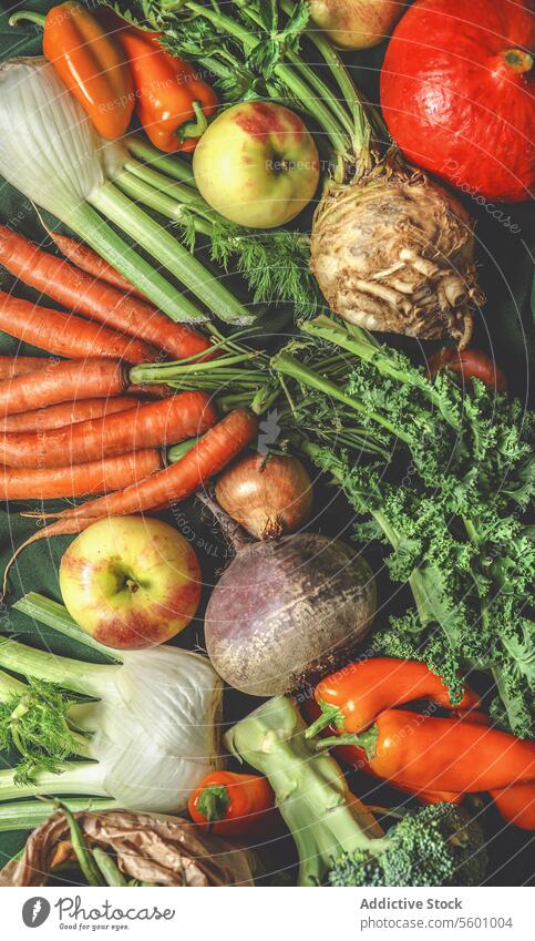 Verschiedene Erntegemüse aus dem Garten: grüne Bohnen, Kürbis, Äpfel, Brokkoli, Karotten, Grünkohl, Fenchel, Paprika. Ansicht von oben verschiedene Gemüse Kale