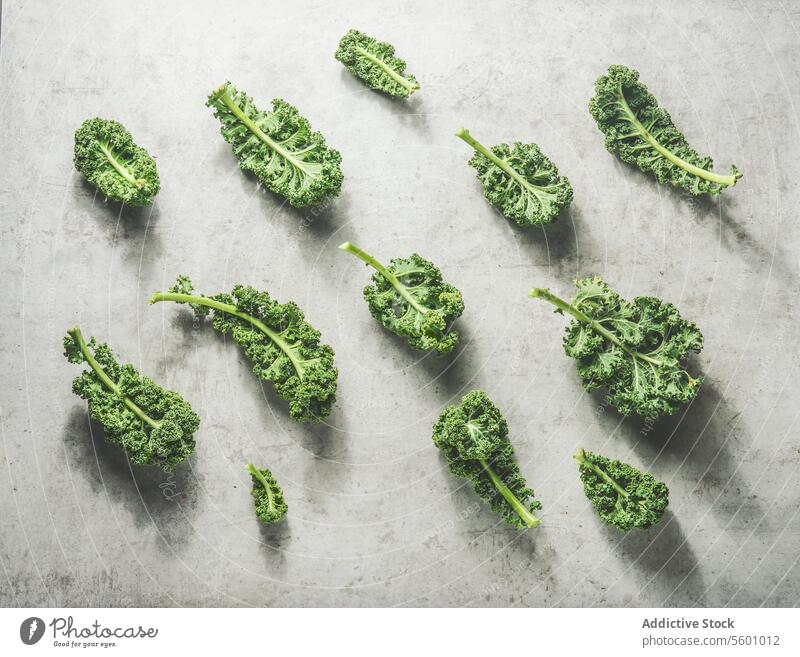 Grünkohl-Muster mit rohen grünen Blättern auf grauem Beton Küchentisch mit Sonnenlicht. Gesundes saisonales Wintergemüse. Ansicht von oben. Kale Grünkohlblätter