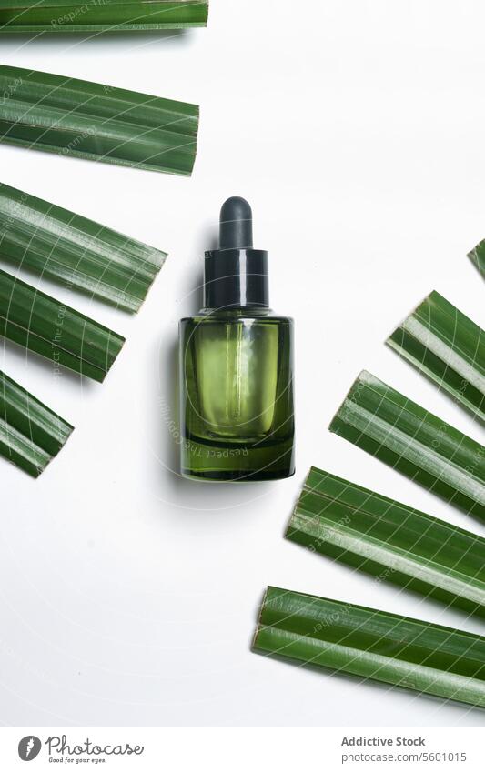Grünes Glas Kosmetikflasche mit Pipette auf weißem Hintergrund mit grünen Palmenblättern. Hautpflege mit feuchtigkeitsspendendem Gesichtsserum. Draufsicht mit Kopierbereich.