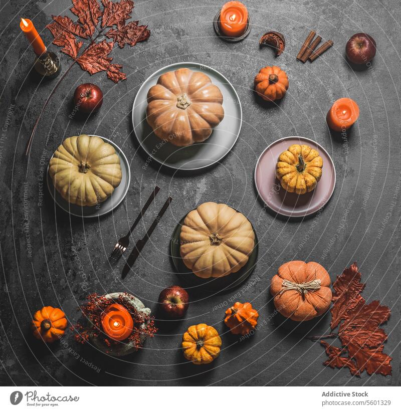 Herbstliche Tischdekoration mit verschiedenen Kürbissen, Tellern, Besteck und Herbstblättern auf grauem Hintergrund. Ansicht von oben Tabelleneinstellung