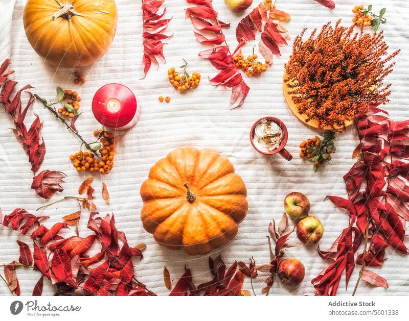 Herbst flach legen Zusammensetzung mit Kürbissen, rote und orange Blätter, Kerze, heiße Schokolade mit Sahne, Äpfel auf weißem Textil Hintergrund. Gemütliche saisonale Herbst Kulisse. Ansicht von oben.