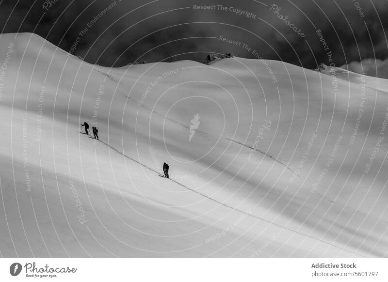 Bergsteiger wandern auf einem verschneiten Berg an einem sonnigen Tag Menschen Aufsteiger schneebedeckt Berge u. Gebirge Spaziergang Klettern Schnee Abenteuer