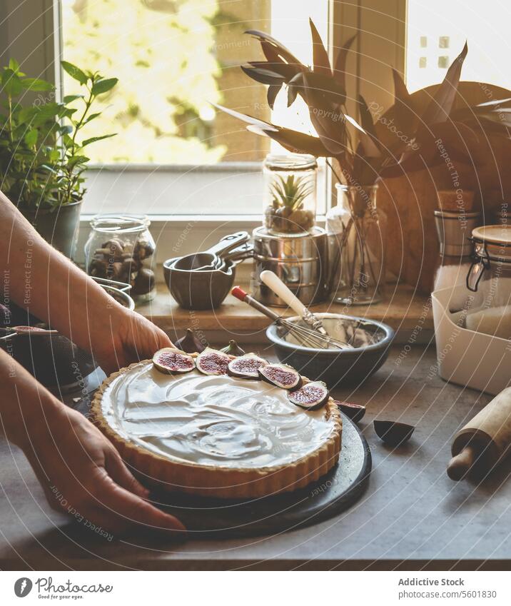 Frau Hand hält hausgemachten Käsekuchen mit Feigen in der Küche Hintergrund mit Fenster und natürlichem Licht. Backen köstlichen Kuchen zu Hause mit Obst und Sahne. Vorderansicht.
