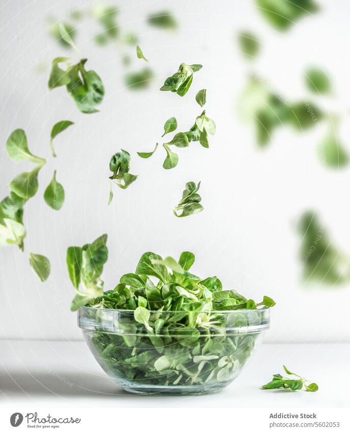 Grüner Salat in Glasschale und fliegende Salatblätter auf weißem Hintergrund. Gesundes Kochen Vorbereitung. Levitation Lebensmittel Konzept. Vorderansicht. grün