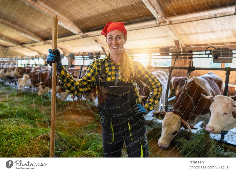 Bäuerin mit Mistgabel in einem Kuhstall. Intensive Tierhaltung oder industrielle Tierproduktion, Massentierhaltung anketten Deutschland Bayern Landwirt Frau