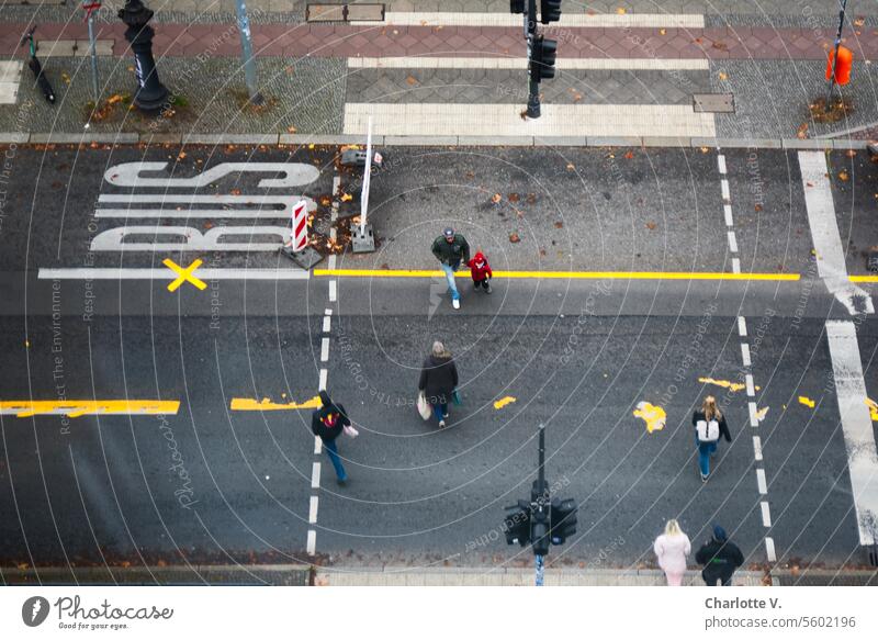 Fußgängerampel mit Übergang und Passanten aus der Vogelperspektive Straße Fußgängerübergang Personen Busspur Schriftzug gelbes Kreuz gelbe Linien Verkehrswege
