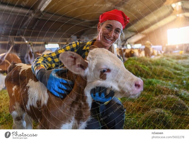 Bäuerin lächelt Kalb im Stall an Sonnenlicht Deutschland Bayern Frau Wade Scheune rotes Halstuch Lächeln Bauernhof Ackerbau Viehbestand Milchviehbetrieb