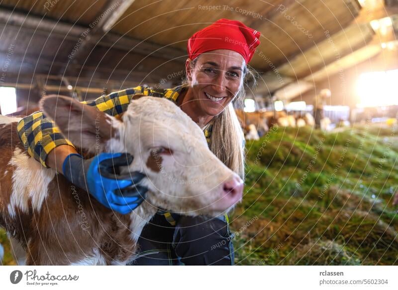 Glückliche Bäuerin lächelt Kalb im Stall an Sonnenlicht Deutschland Bayern Frau Wade Scheune rotes Halstuch Lächeln Bauernhof Ackerbau Viehbestand