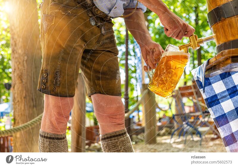 Ein bayerischer Mann in Lederhosen schenkt ein großes Lagerbier aus einem hölzernen Bierfass im Biergarten ein. Hintergrund für Oktoberfest oder Wiesn, Volks- oder Bierfest