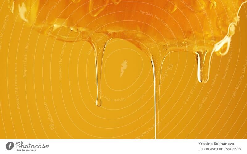 Honig, der aus den Waben tropft, extremes Makro, natürliche Bienenwachszellen, Goldelixier fließend gold golden Liebling liquide Produkt Klebrig Sirup Kamm