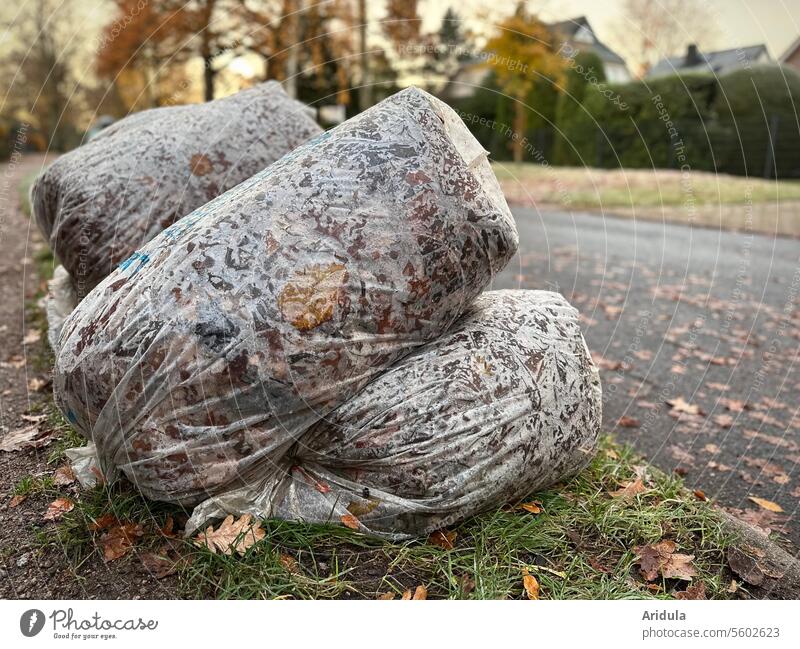 Säcke gefüllt mit Herbstlaub liegen am Straßenrand Laub Blätter Sack Laubsäcke entsorgen Stadtreinigung herbstlich Natur Vergänglichkeit Laubwerk Wohngebiet