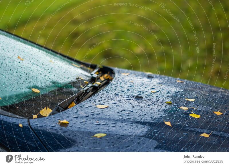 dunkelblaues Auto am herbstlichen Regentag mit orangefarbenen Birkenblättern - selektiver Fokus mit Unschärfe Nahaufnahme Herbst PKW Blatt fallen Laubwerk