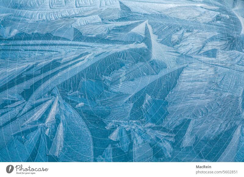 Eiskristallen auf einer Autohaube Außenaufnahme Eisblume Farbaufnahme Filigran Fotografie Frost Gefroren Kalt Makro Natürliches Muster Nahaufnahme Niemand Tag