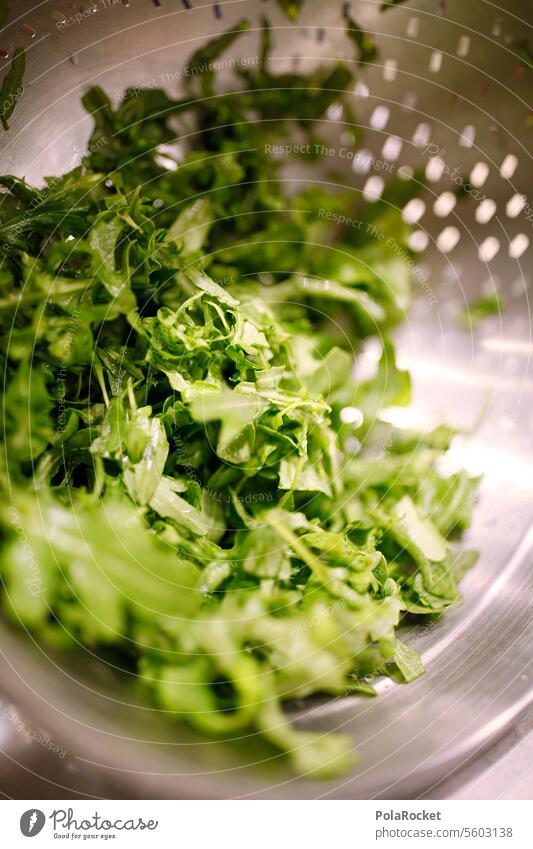 #AS# Rrrrrrrrrrucolaaaa Rucolasalat Rucola-Blätter Salat Essenszubereitung Lebensmittel Gesundheit frisch Salatbeilage grün Mahlzeit Vegetarische Ernährung
