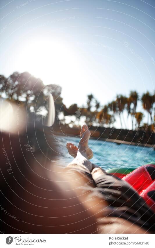 #AS# E*** im Pool Mensch maskulin Zufriedenheit Jugendliche Junger Mann Schwimmbad Luftmatratze genießen Erholung Garten Reichtum Spießer Sonnenbrille Party