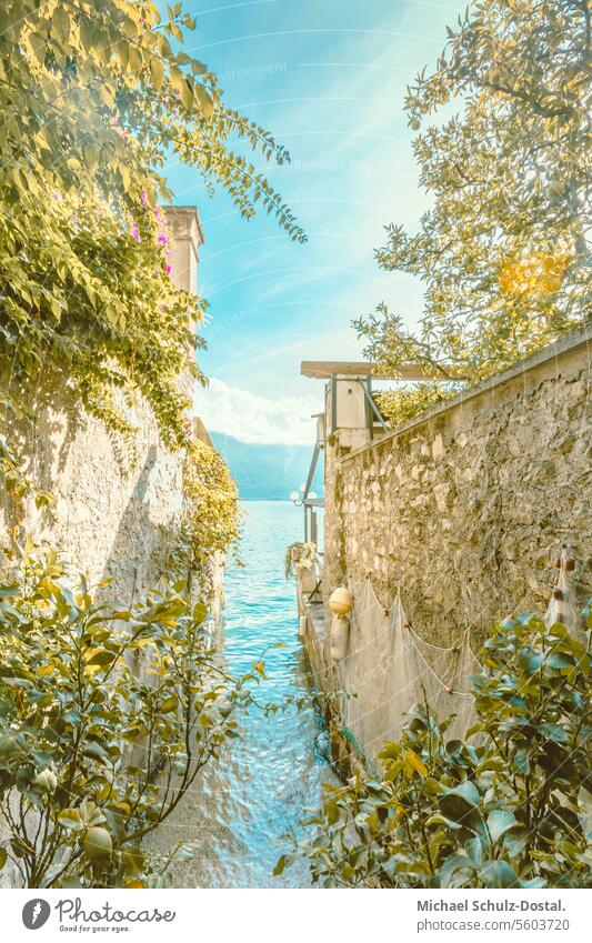 romantischer Blick vorbei an Limonenbäumen und Bruchsteinmauern auf den Gardasee Lago garda italien lombardei wasser hafen seascape port pittoresk seeblick