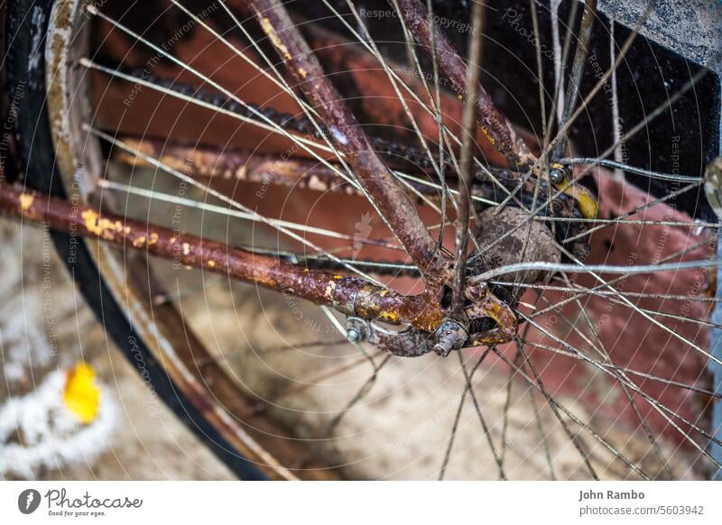 alte nasse rused braunen Fahrrad nach regen Nahaufnahme mit selektiven Fokus und Unschärfe Rust Selektiver Fokus Regen Metall Hintergrund Transport rostig