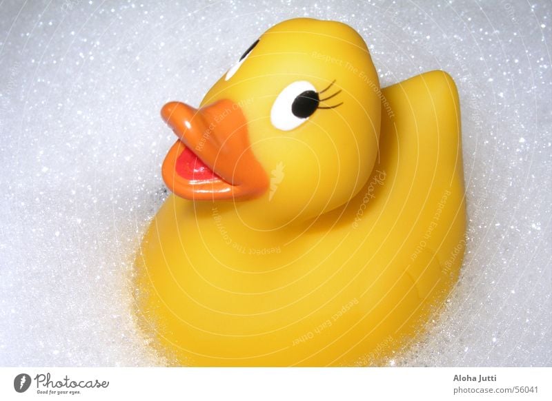 Quietscheente Badeente gelb Schaum nass Schwimmen & Baden Schnabel Erholung Badewanne weiß Ente Freude duck ducky fun swim wet foam blasen orange Wasser