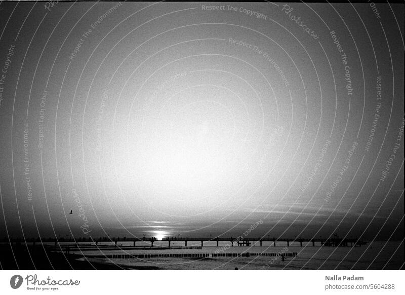 Sonnenuntergang Kühlungsborn analog Analogfoto sw schwarzweiß Schwarzweißfoto Abend Dämmerung Sommer Brücke Seebrücke Ostsee Wasser Licht Außenaufnahme Natur