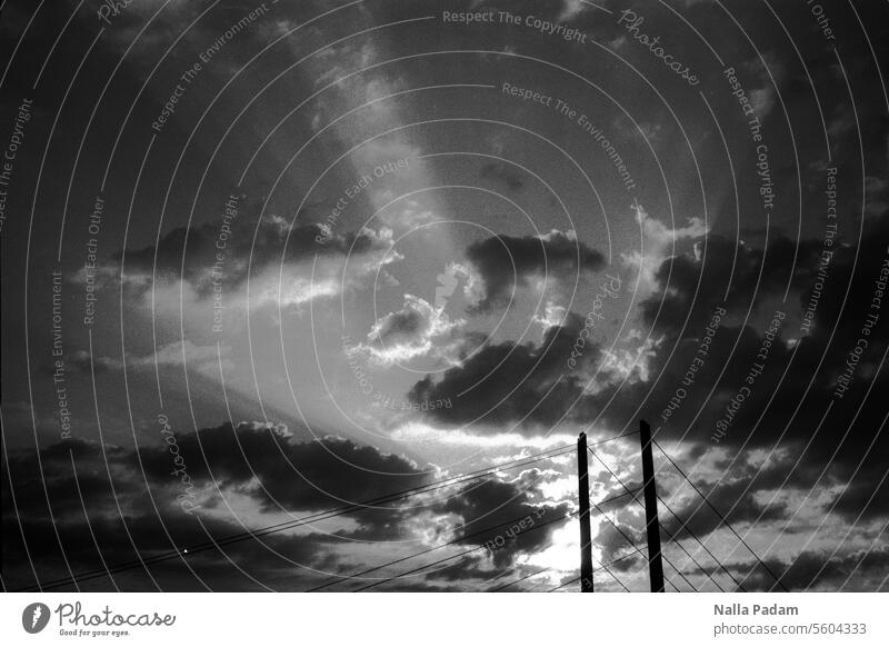 Wolke, Sonne, Brücke analog Analogfoto sw schwarzweiß Schwarzweißfoto Himmel Pfeiler Seil Linie düster Architektur Außenaufnahme Verbindung Rheinkniebrücke