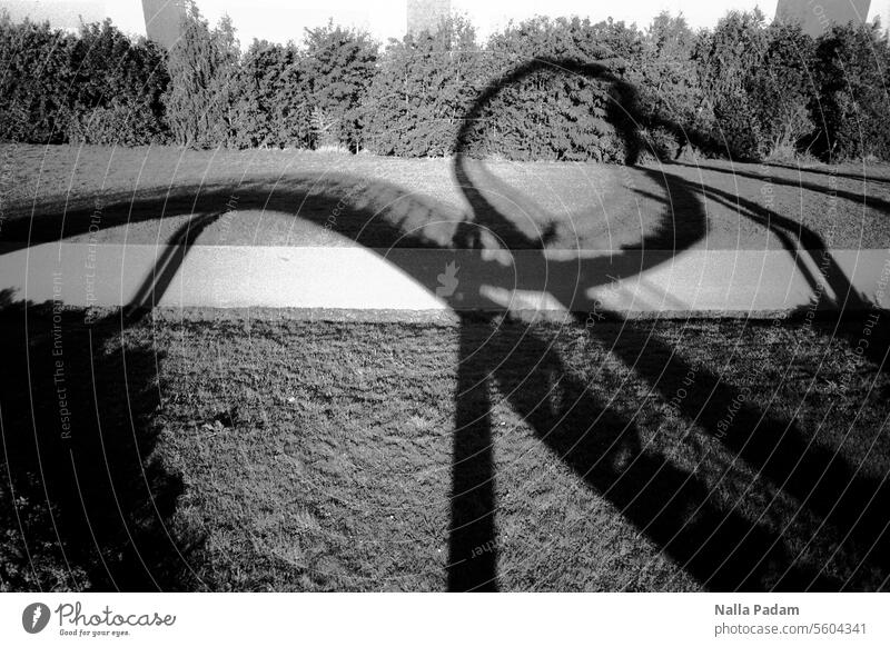 Schattige Kurven analog Analogfoto sw Schwarzweißfoto schwarzweiß Kunst Schatten Linie Ruhrgebiet Architektur Baum Himmel Tiger & Turtle Licht Looping