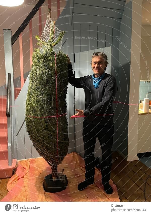 Laservermessener Weihnachtsbaum Weinhnachtsbaum begradigen Mann Vorbereitung