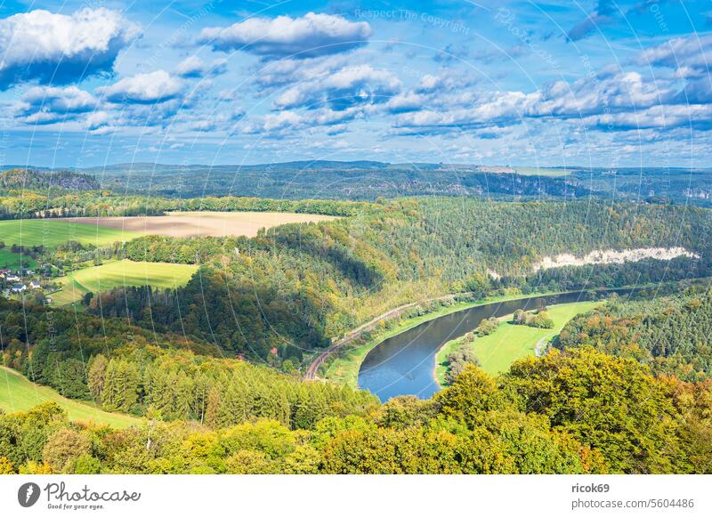 Blick über die Elbe auf die Sächsische Schweiz Elbsandsteingebirge Feld Wiese Fluss Baum Wald Sachsen Natur Landschaft Herbst Berg Gebirge Wasser Himmel Wolken