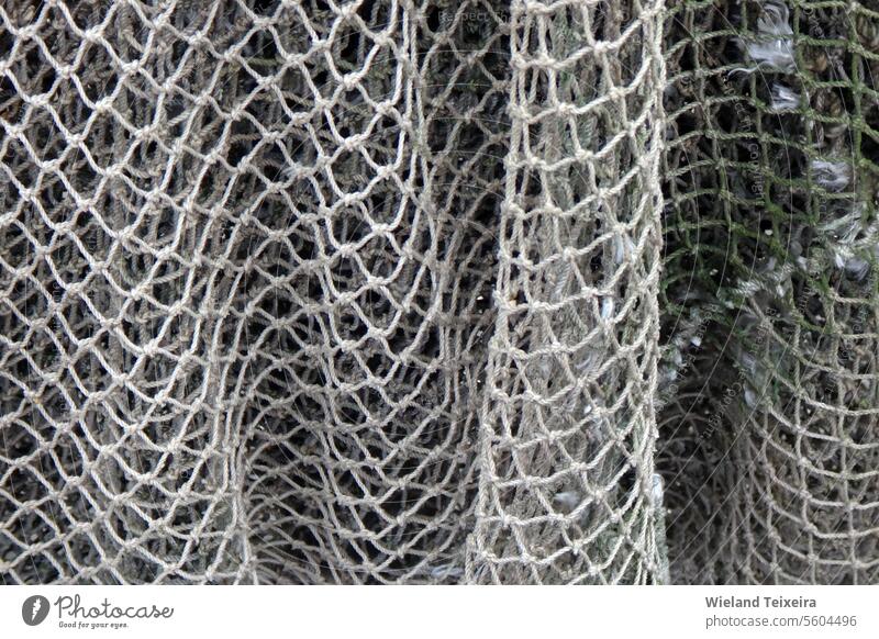 Detail eines Fischernetzes abstrakt Hintergrund Muster Design leer niemand altehrwürdig Nahaufnahme im Freien Detailaufnahme Stil traditionell Gerät Objekt