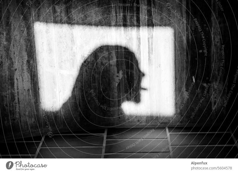 das Zünglein am der Waage Schatten Shilouette Scherenschnitt Silhouette Mensch Schattenwurf Profil Schattenspiel Kontrast Licht Licht & Schatten