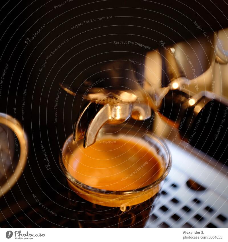 Doppelter Espresso im Glas unter einem Siebträger einer Espressomaschine | Wärmendes Espressoglas siebträgermaschine Kaffee Kaffeemaschine Koffein Kaffeetrinken