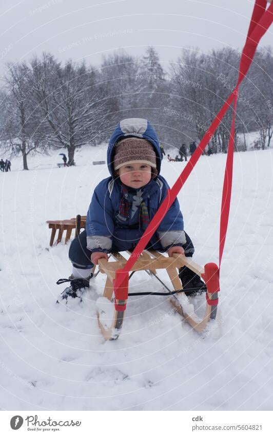 Kälte hin oder her, gezogen werden ist prima! | Schlitten mit Kleinkind wird durch den Schnee im Park nach Hause gezogen. Winter Kind Schlitten fahren
